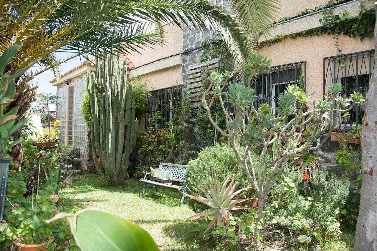 大加那利岛拉斯帕尔马斯Casa El Drago-Tafira Baja公寓 外观 照片